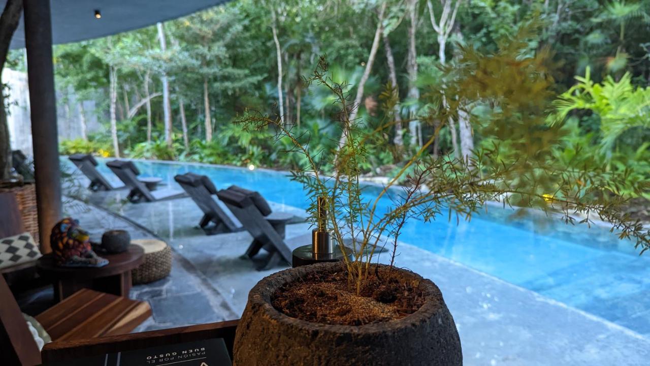 Exclusive Penthouse By Famous Interior Designer By Yeah Lägenhet Tulum Exteriör bild