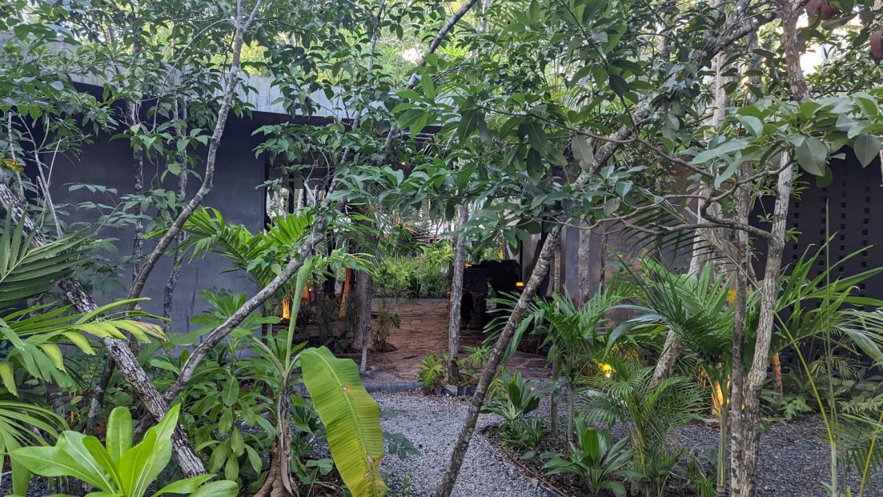 Exclusive Penthouse By Famous Interior Designer By Yeah Lägenhet Tulum Exteriör bild